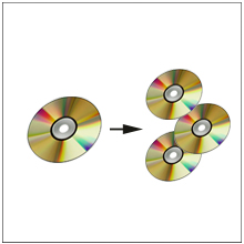 systor cd dvd mdisc multimedia replicates from a single CD/DVD disc to blank CD/DVD disc(s)